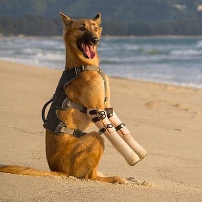 Please pray for me to get well soon 💖🐾🙏🏻