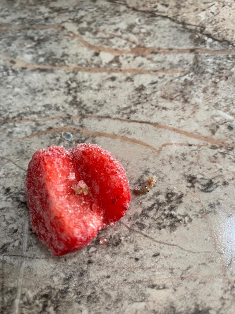 GART56's tweet image. Compre unas fresas en @SamsClubMexico y las fresas tenían gusanos