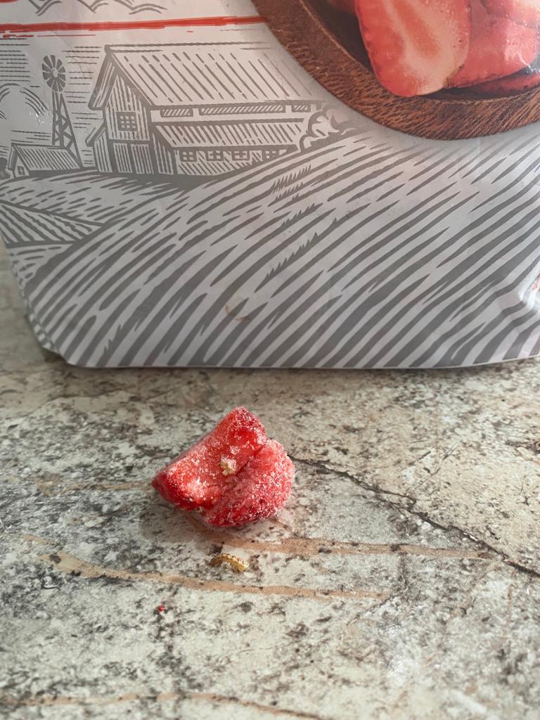 GART56's tweet image. Compre unas fresas en @SamsClubMexico y las fresas tenían gusanos