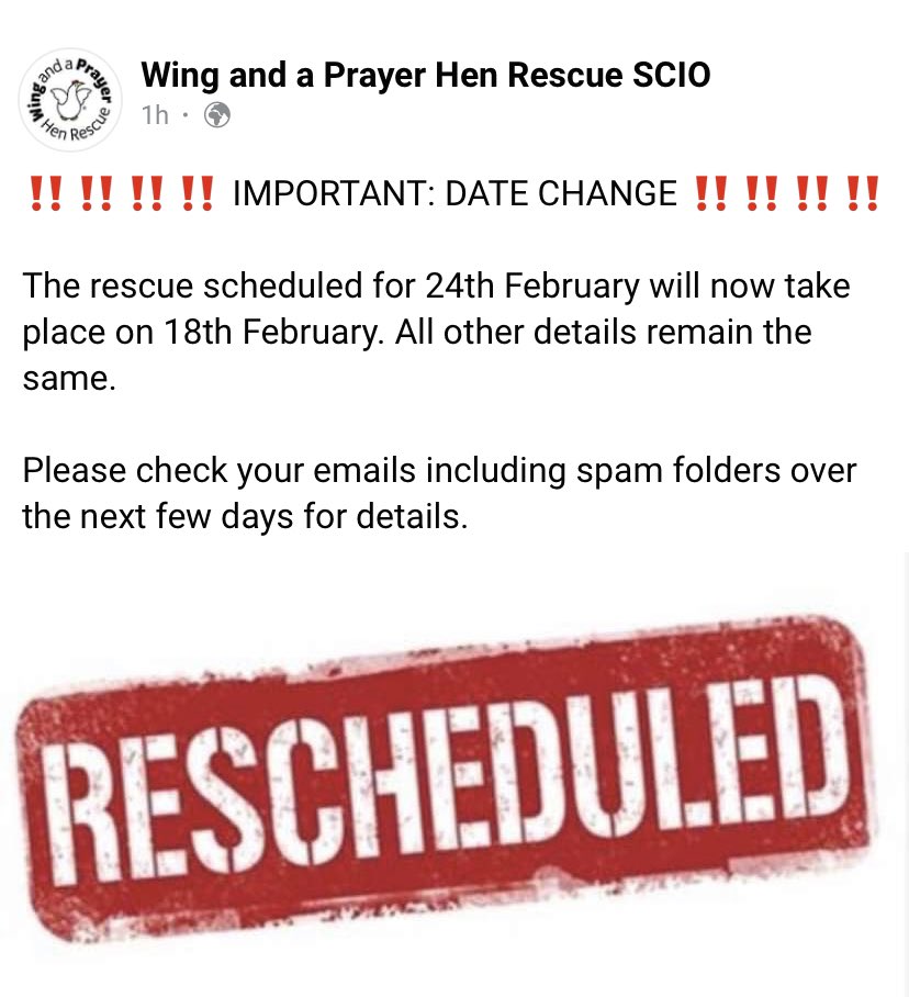 ‼️Rehoming is now on 18th February‼️ Numbers are fairly low in some areas -  please share! Thank you.