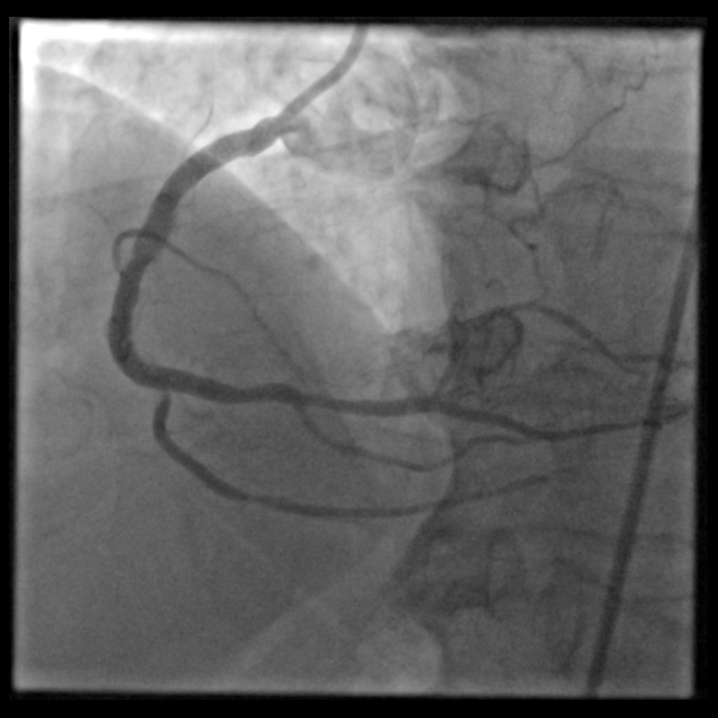 rami jubeh tweet media