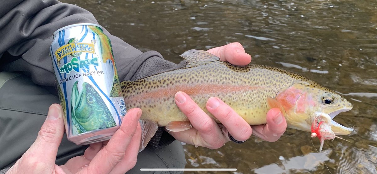 JohnWhi93533486's tweet photo. Was able to hook up with one this afternoon on a fresh new pattern I whipped up last evening. Enjoyed some Sweet Water while out on the water as well!!! #fishforafish @sweetwaterbrew #flytying #flyfishing #flytyingjunkie #streamerjunkie https://t.co/Wh3PDmpQIz