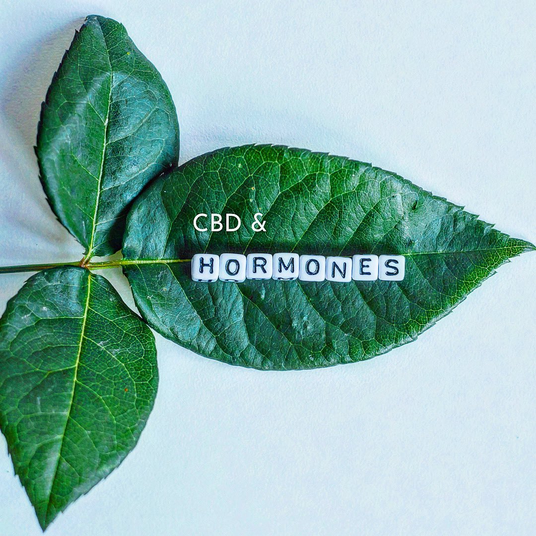 rebelwineuk's tweet photo. Did you know that CBD can help regulate your hormones? So you can drink our wine and be helping your body at the same time! Read more here - https://t.co/meamGXrMz7 #Menopause #Hormones https://t.co/nfICqWPpsx