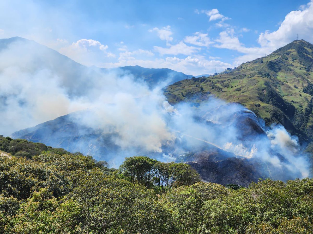 📍Paute

🚨#ECU911Reporta| Incendio forestal en el sector de la Central Hidroeléctrica Mazar. 

Desde #ECU911Austro se coordinó con <a href="/BomberosElPan/">Bomberos El Pan</a>, <a href="/BomberosPaute/">Bomberos de Paute</a>,  <a href="/BomberosAzogues/">Bomberos Azogues </a> y #BomberosSevillaDeOro.

Informe preliminar, 2 hectáreas de vegetación afectadas 🔥