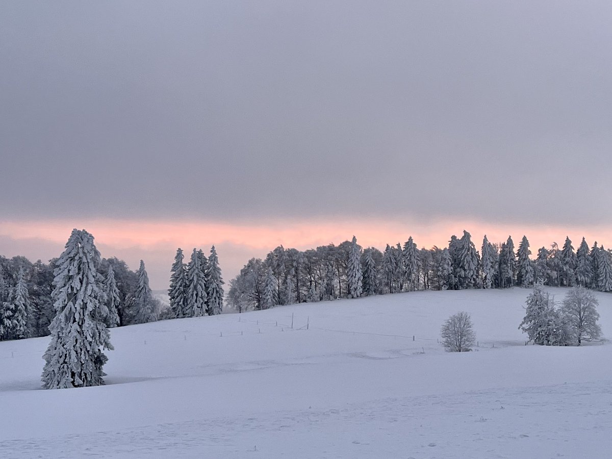 Winterabend
#NaturPhotography #Winter