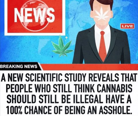 get_glass's tweet photo. @txcannaco https://t.co/6NlQsCM58E