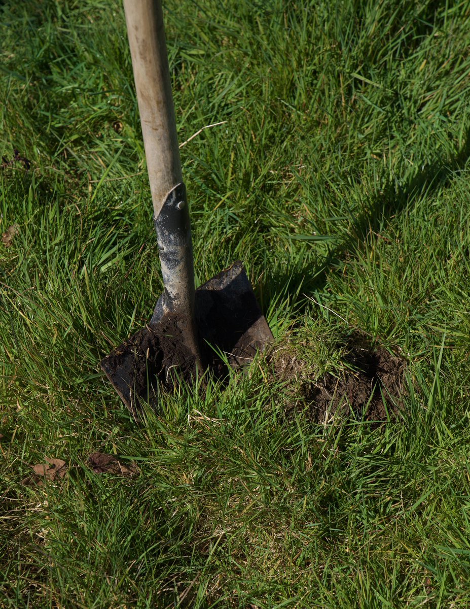 When the shovel is in the ground it represents the start of a beautiful journey towards a greener future. Let's plant trees this year and make our world a better place. #PlantTrees