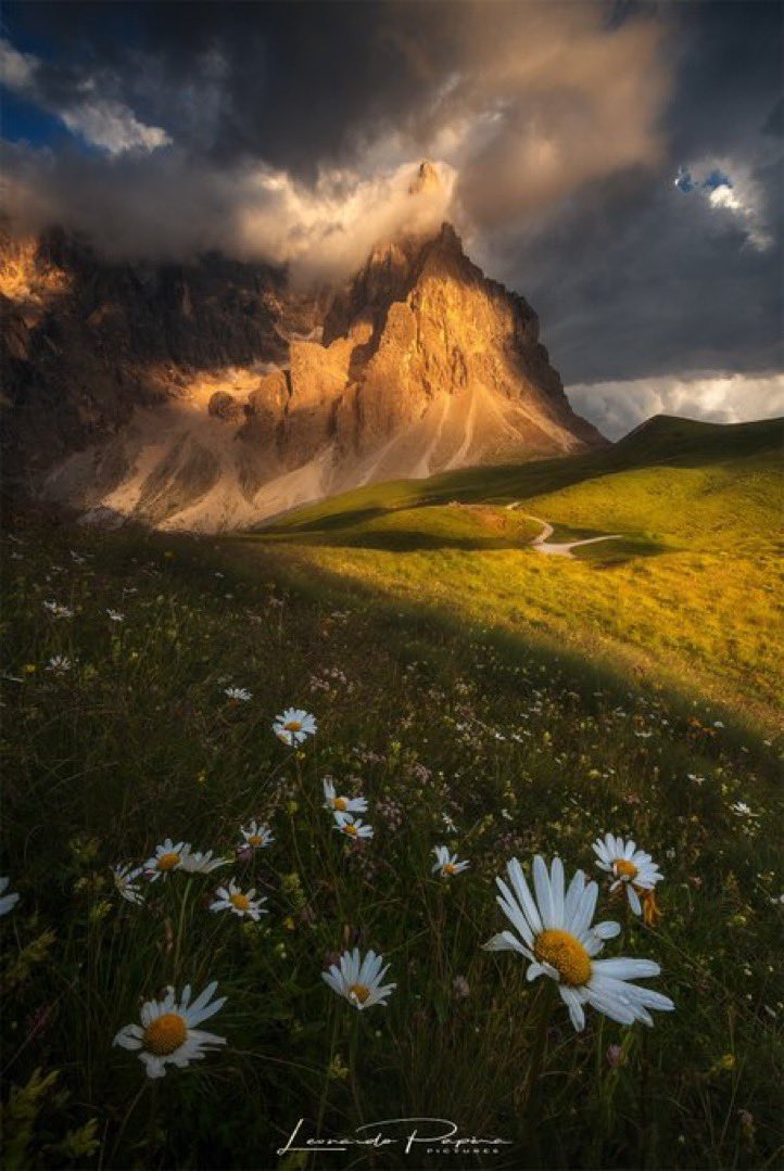 Into The Light - Nature Photography Collective (@intothelightnft) on Twitter photo "Nature is the greatest of all teachers, and art is the closest thing we have to understanding her ways." - Paul Cezanne
Image Credit: <a href="/Leo_Papera/">Leonardo Papèra || leonardopapera.eth</a> "Nature is the greatest of all teachers, and art is the closest thing we have to understanding her ways." - Paul Cezanne
Image Credit: <a href="/Leo_Papera/">Leonardo Papèra || leonardopapera.eth</a>