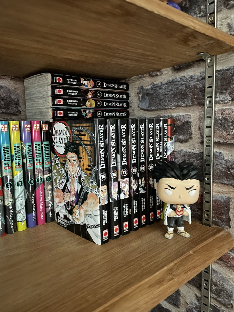 miingo's tweet image. Fan post de ma mangathèque 🥰✨ J’en suis trop fier ❤️😊 &amp;amp; vous montrez les vôtres 🫶🏼✨