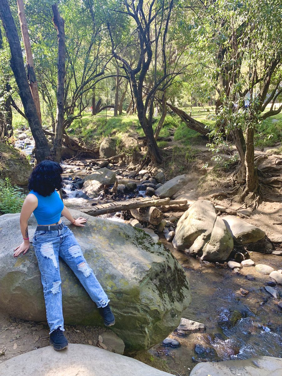 CondeDixie's tweet photo. Pero que precioso es el paisaje verde. 🌳 https://t.co/uY06p7aHdu