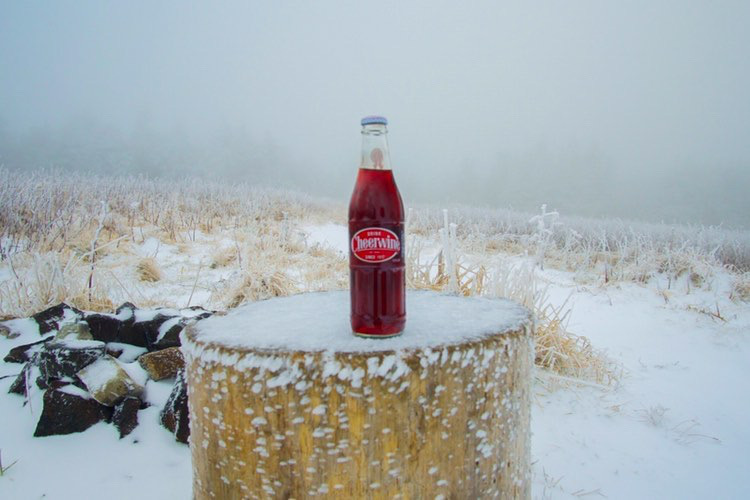 We’re dreaming of a Cheerwine Sno-cream float right about now. Did you get snow yet? Tell us in the comments 👇🏻 Better yet, snap a pic and tag us! 
📸: @andrewtburns

#cheerwine #uniquelysouthern