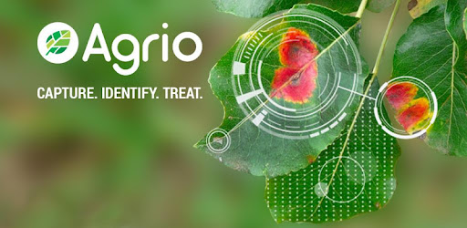agrioapp's tweet photo. Exciting news! We announce the launch of our Plant Diagnosis Solution through Image Identification as an API. Contact us today to learn more about our Plant Diagnosis API.
#artificialintelligence #agtech #agritech #agstartup #agriculture #precisionfarming #precisionagriculture https://t.co/9BKaOjw6sx