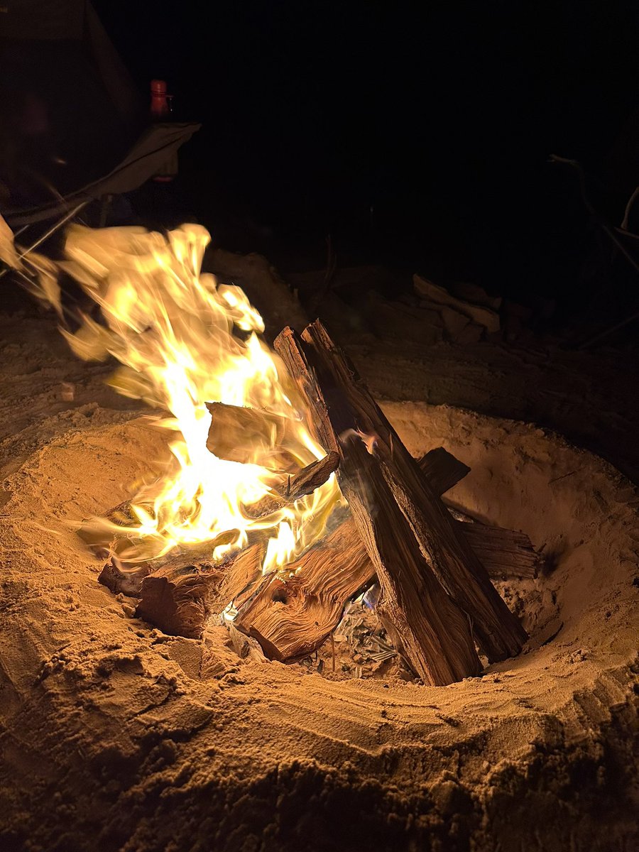 Miss Barnes 🏴 tweet media