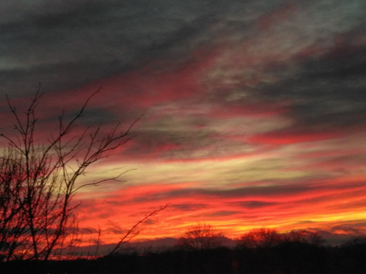 A Colour palette spotted at sunset!