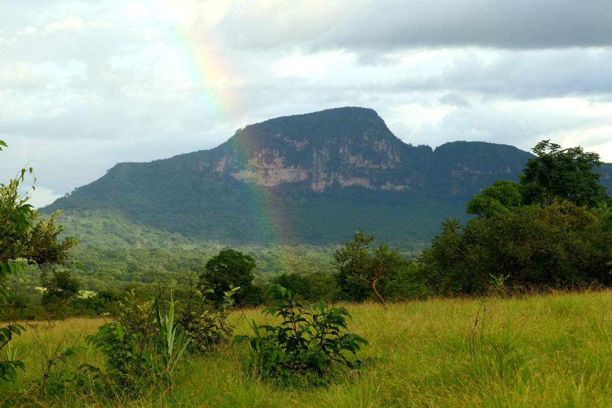 mouctarmmd's tweet photo. En Bon Poular la montagne s'appelle "Feto Dèmou" en français "Pierre de Chimpanzee" elle est dans la Préfecture Pita. A visiter absolument je vous assure la nature est vraiment magnifique protégeons mère nature. https://t.co/dLjXSAKvDA