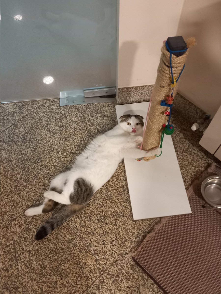 As sessões fotográficas servem pra algo😌