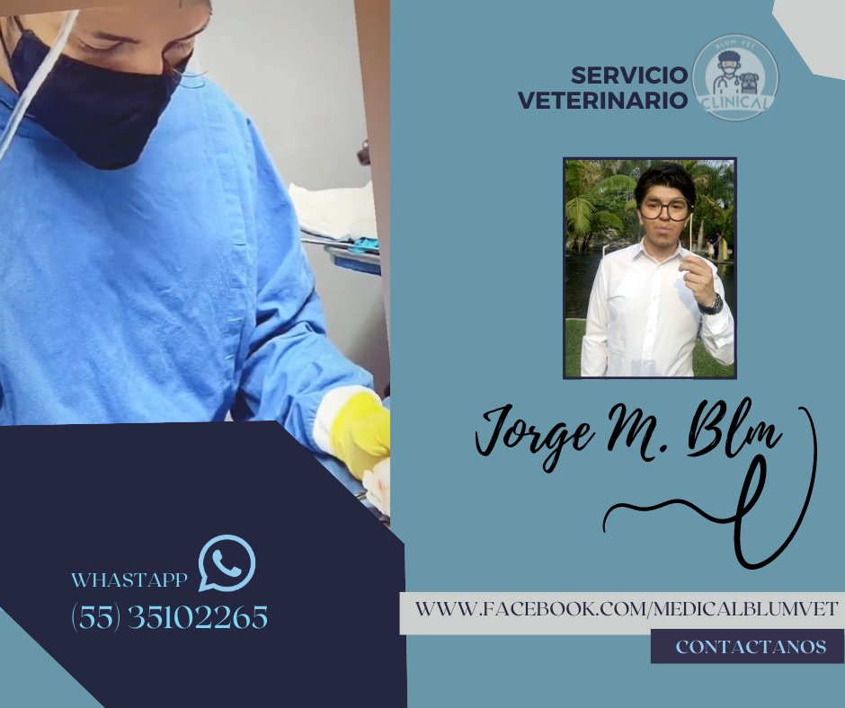 Blumpwp's tweet photo. Servicio de medicina veterinaria a domicilio 🚗💨🐶🐱❤️
Clínica: https://t.co/9w29qNna5C

#vetlife #MVZ #veterinarymedicine #vetmed #FESC #veterinary #veterinaria #mvz #fesc #dogtor #mascotasfelices #blum #mascotasdeinstagram https://t.co/J5XgYPwBGM