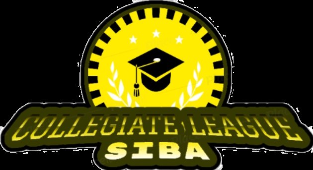 Staten Island Basketball Association (SIBA) tweet media