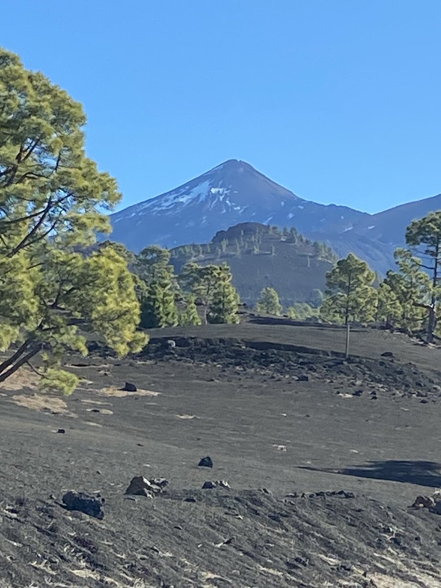 expertscience's tweet photo. 26 Janvier 2023 Séjour archipel des Canaries #Tenerife symphonie Minérale , végétale , aquatique
#Adeje , #LosGigantes , #Taganana #ElTeide via #ExpertScience https://t.co/cDu1inG8ha