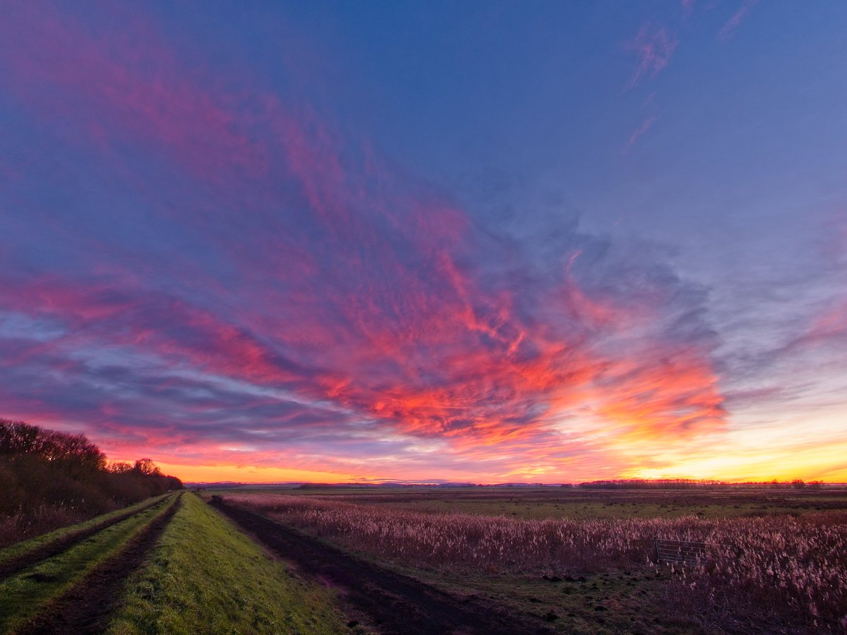 I was hoping for a sunset and I was just giving up when this happened. 
Taken at Woodwalton Fen
@ChrisPage90 @WeatherAisling 
#thefens