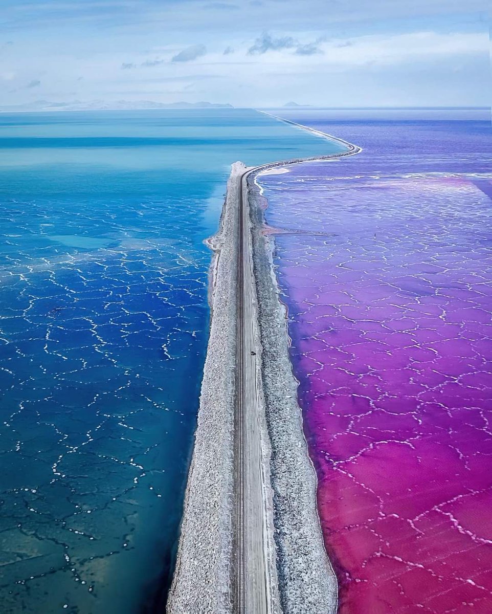 The Great Salt Lake in Utah, United States.

#FollowTheScience #educativefeed #facts #didyouknow #science #landscape #photography #nature #natureshots #instanature #wild #wildlife #wildlifephotography #wildlifeshots #america