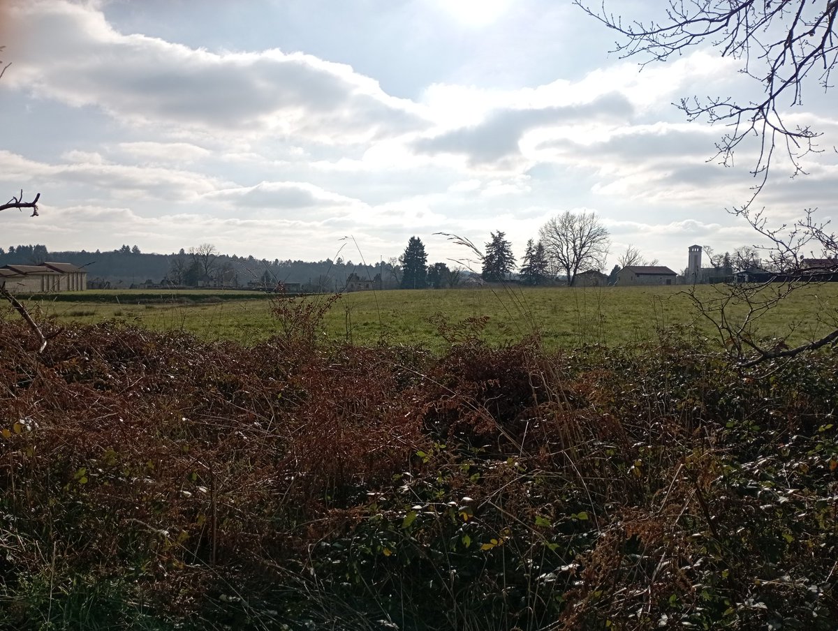 ADel875's tweet photo. ☀️☀️ pas trop de 🌬️🌬️
Balade du dimanche 
Descente vers le village martyrs
L'église est en travaux de consolidation 
#DevoirDeMemoires https://t.co/l6hANeSREI