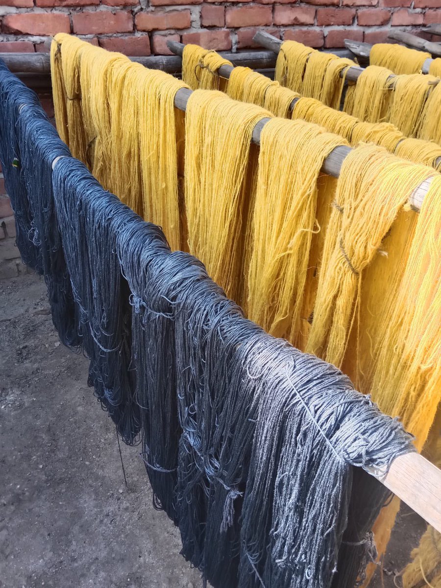 Tribe Odyssey tweet media