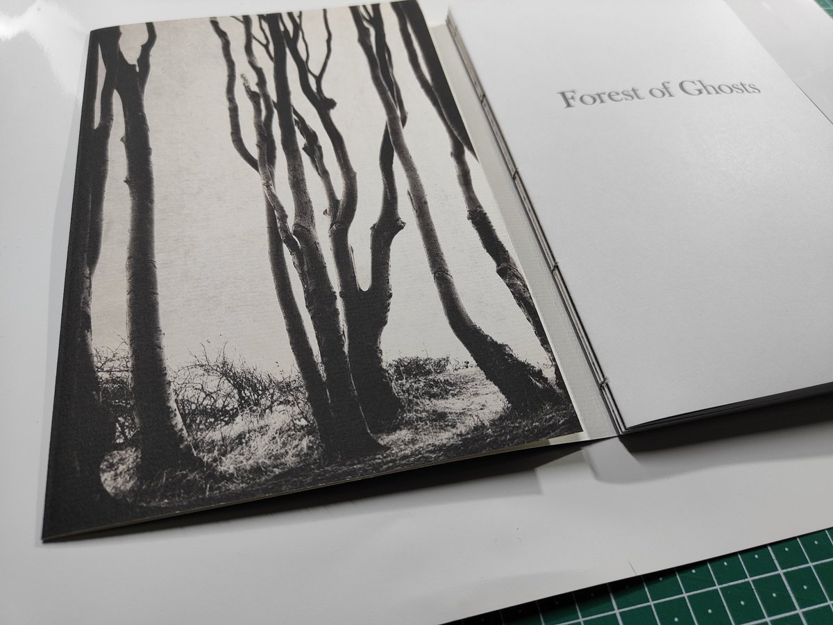 All ten book block are now finished.  The covers are printed and the first book is complete. The gluing part is the hardest, because a mistake can ruin the whole book 🤞

#photobook #handmadebook #artistbook #photobooks #forestphotography #intentionalcameramovement #ICM_photo