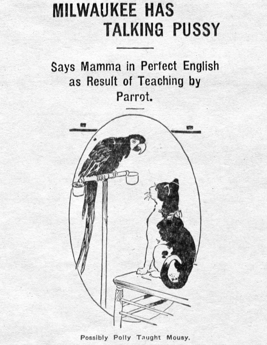 yesterdaysprint's tweet photo. The Jacksonian, Cimarron, Kansas, April 21, 1921 https://t.co/47X8HtXfo1