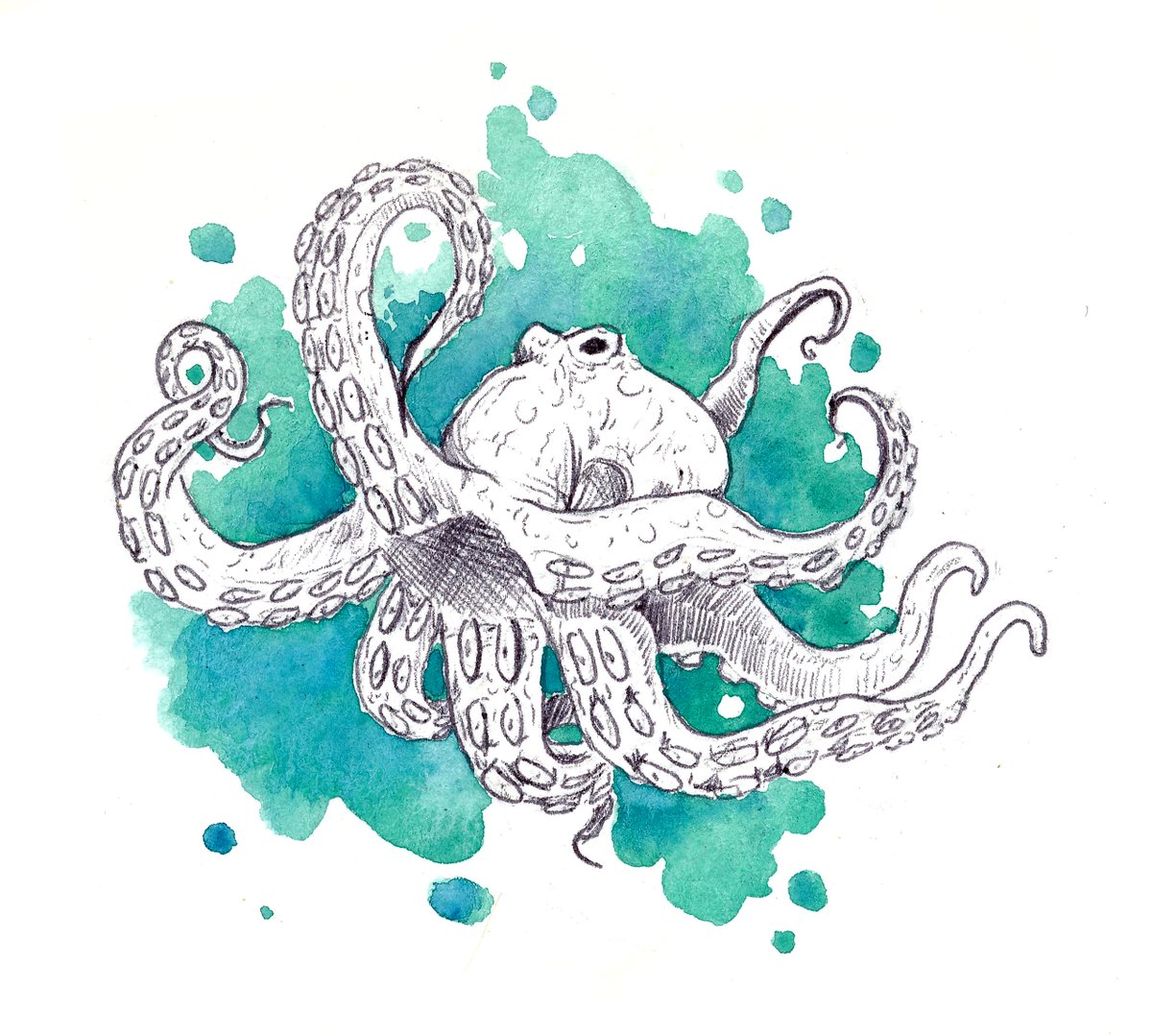Hyydraworks's tweet photo. Ratuary Day 29: Depth

Gotta always leaves a couple opportunities for me to draw a cephalopod even though its called Ratuary.  Denizens of the wastes generally avoid the ocean, but I’d like to think if any ever encounter an octopus they are very sympathetic fellows. #ratuary https://t.co/vxjSTURPZj