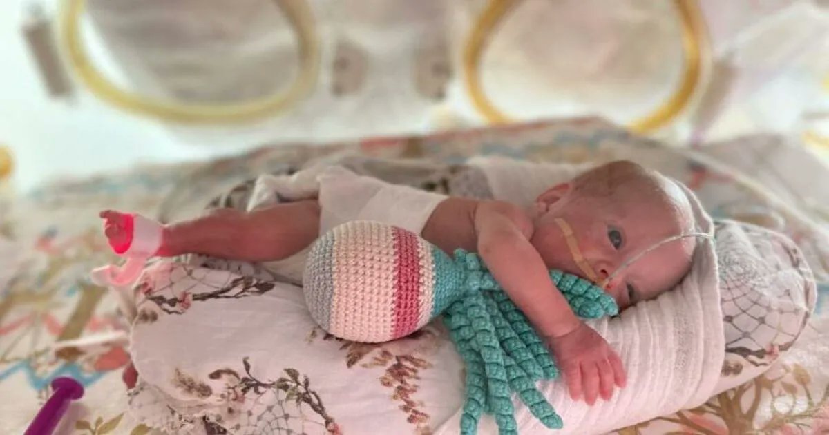 Miracle Baby Born 14 Weeks Early Heads Home buff.ly/3XBpHIR
