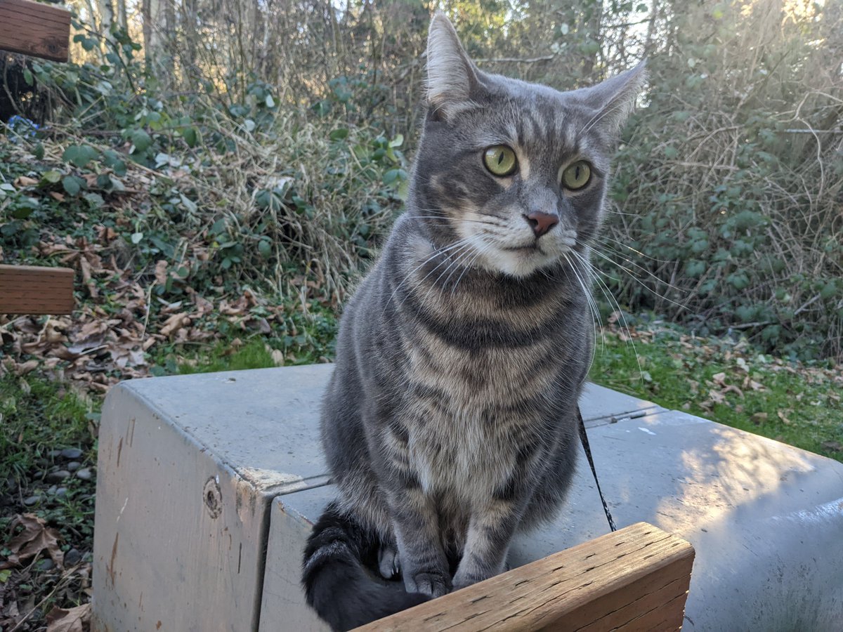 Batter & Sickle tweet media