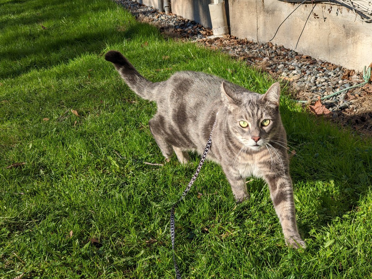 Batter & Sickle tweet media