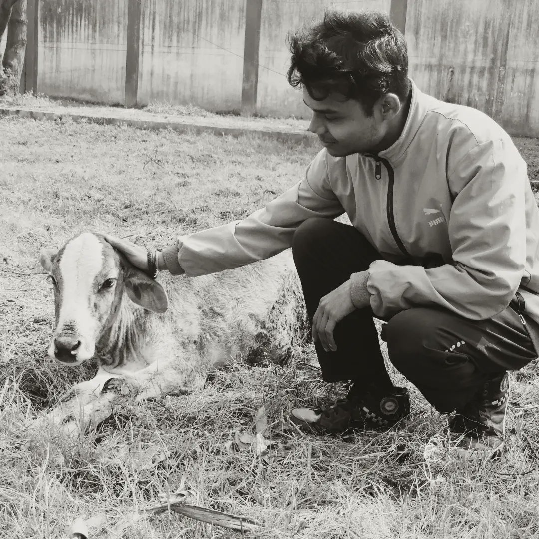 DhaneshwarDutt's tweet photo. Today In the Morning I met this Little baby Calf of Cow 
This calf was very beautiful and innocent. 🐄
Maybe this little calf  must have got scared seeing my shaggy hair. 🤣 https://t.co/5CAAWwEr8p