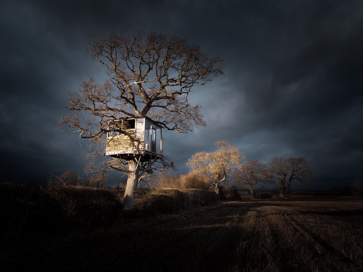 The Watch Tower.
While out for a walk, we came across this awesome tree house in a field. #wexmondays #sharemondays2023 #fsprintmonday #ThePhotoHour #liveforthestory #appicoftheweek  @OPOTY @CanonUKandIE @Benro_UK