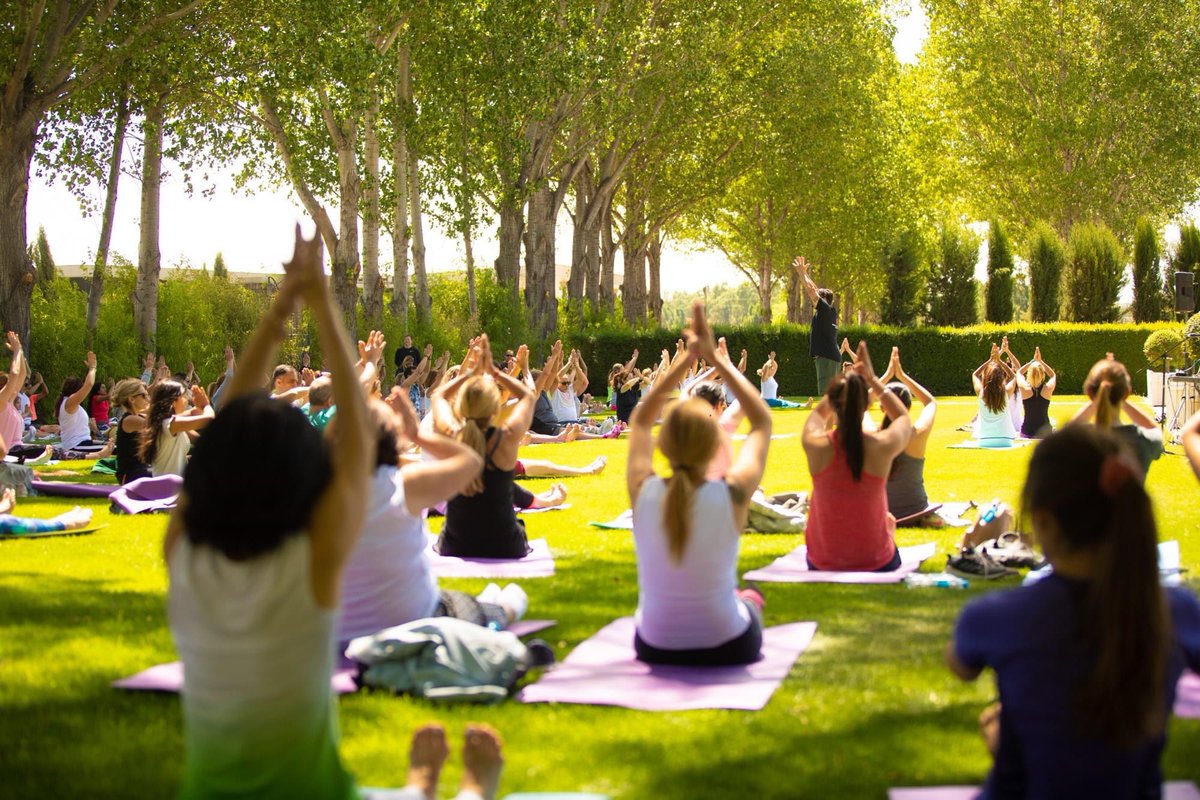 mendoza_tur's tweet photo. ¡Descubrí "Yoga por los Caminos del Vino"!

Viví esta fantástica experiencia de bienestar en noche de luna llena.

📅 Domingo 5 de febrero, 19:30h.
📍 Bodega Bombal.
🎫 Entradas: https://t.co/nO3QniEeyU

#Mendoza #CapitalMundialDelVino #VENGAN https://t.co/KPNwcelIGr