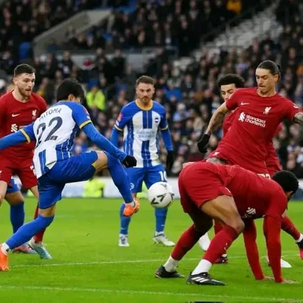 TheTemiGuy's tweet photo. New Sex Style:
Babe, bend like Liverpool defender 🤣🤣🤣
#enzo #FACup #Petrol #MUNREA #mitoma #gakpo #Olivia #Juventus #JuventusMonza #Monza #Allegri #Ojuelegba https://t.co/GWebCOs8sw