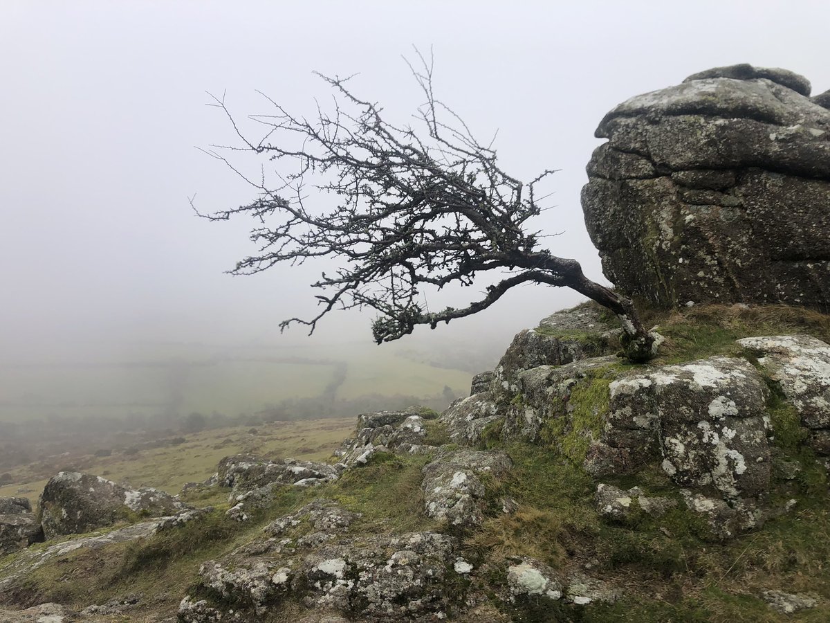sup_cheffy's tweet image. Had the best day on Dartmoor, a bimble around Sharp Tor where the clouds came down to meet us and you can touch the sky ! ☺️ #Dartmoor #southdevon #tors #Scenery #walking