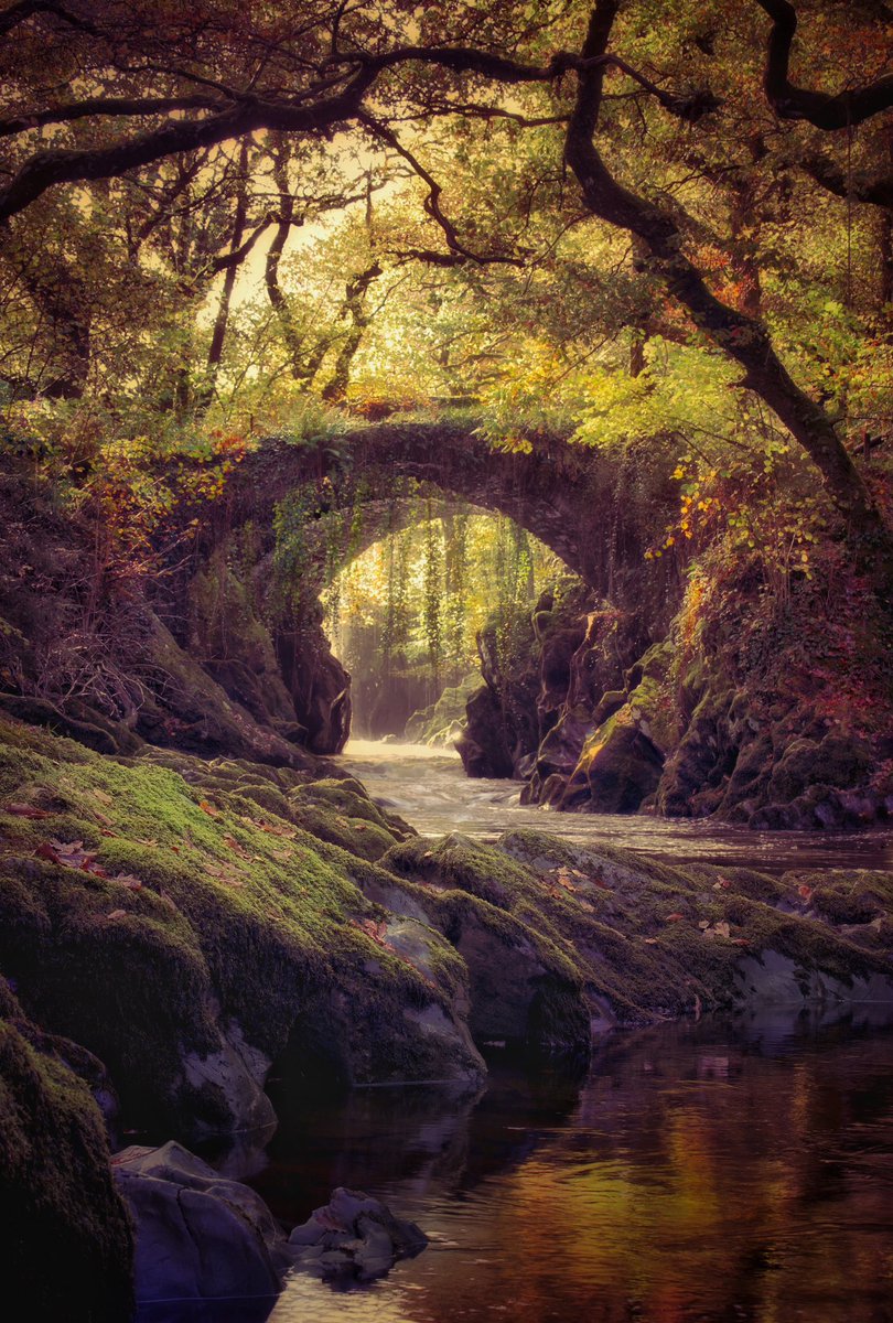 Beautiful light at the magical bridge - Penmachno 
@visitwales @WalesOnline @lleoldotcymru @BBCCymruFyw @croesocymru @uklpoty