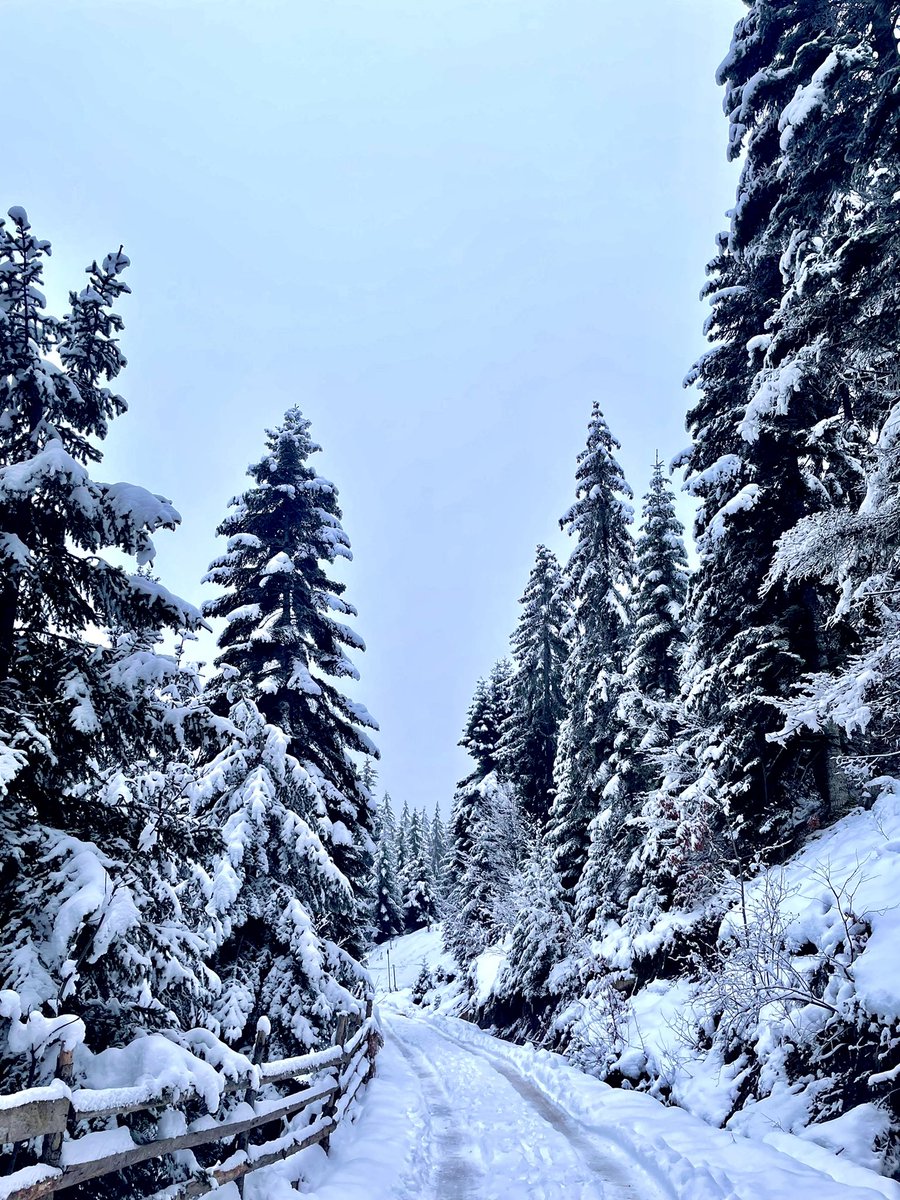 KHolboll's tweet photo. Rugova, Kosovo 🇽🇰 Slutar aldrig imponeras av detta land. https://t.co/YFiiRthNVD