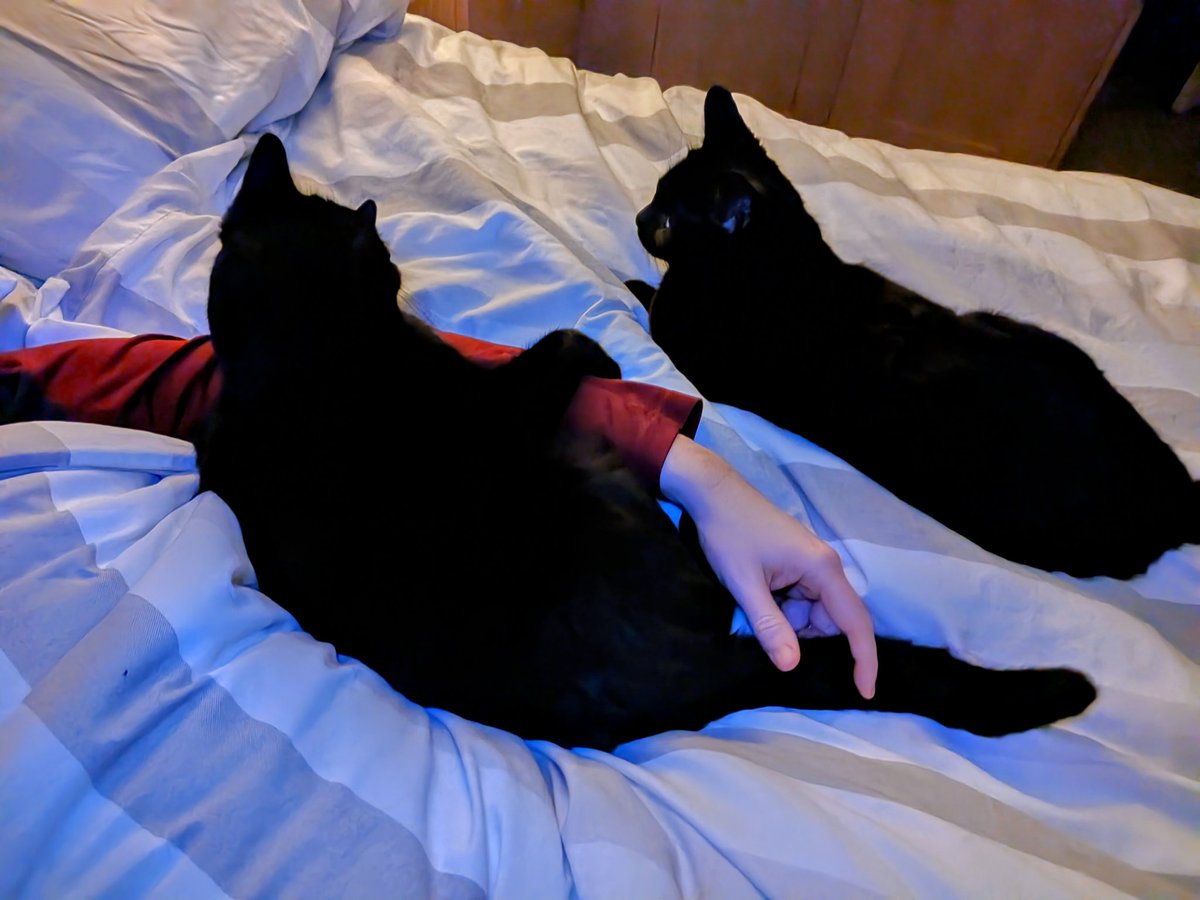 Jake Archibald tweet media