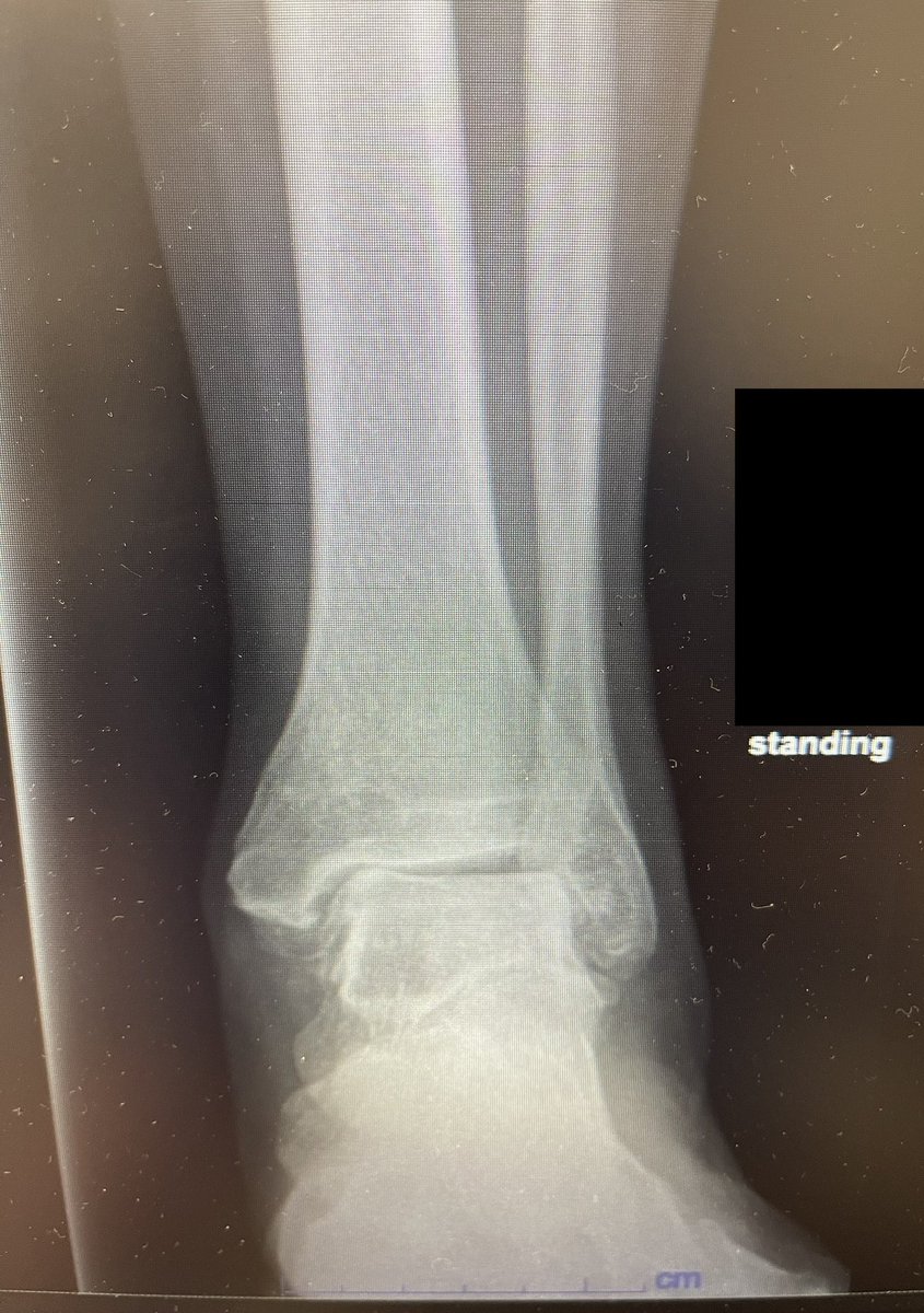 Jan Szatkowski tweet media