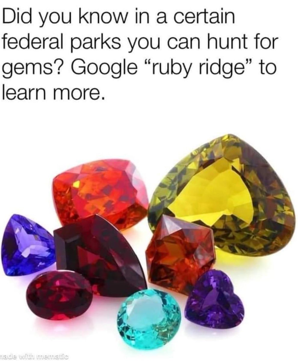 dyingscribe's tweet image. 