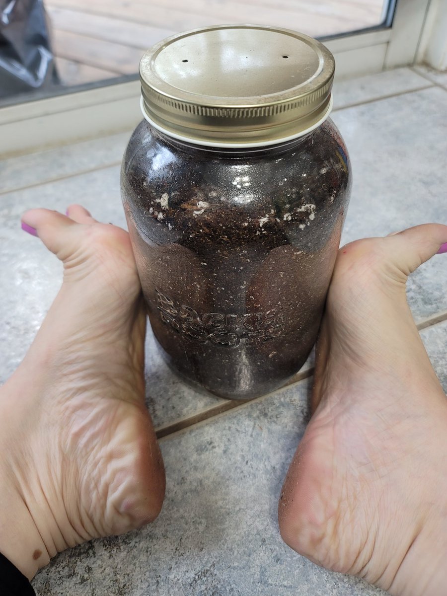 1toe34's tweet image. Apparently my feet don't make everything grow 😁😘