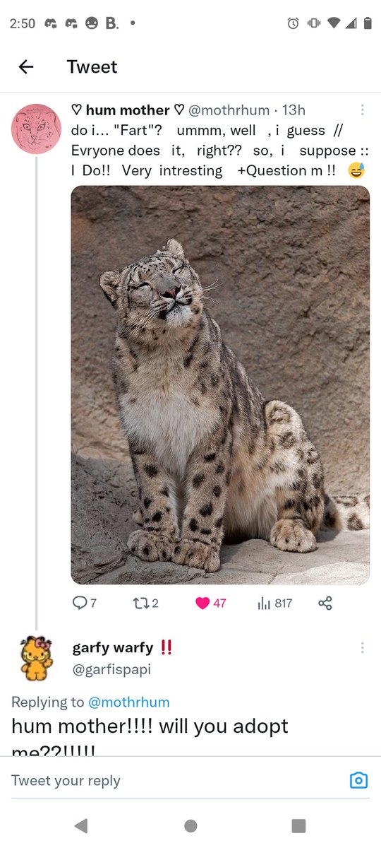 garfispapi's tweet image. guys!!!! i got adopted by hum mother!!!!