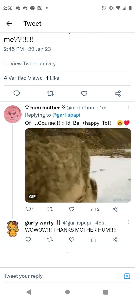garfispapi's tweet image. guys!!!! i got adopted by hum mother!!!!