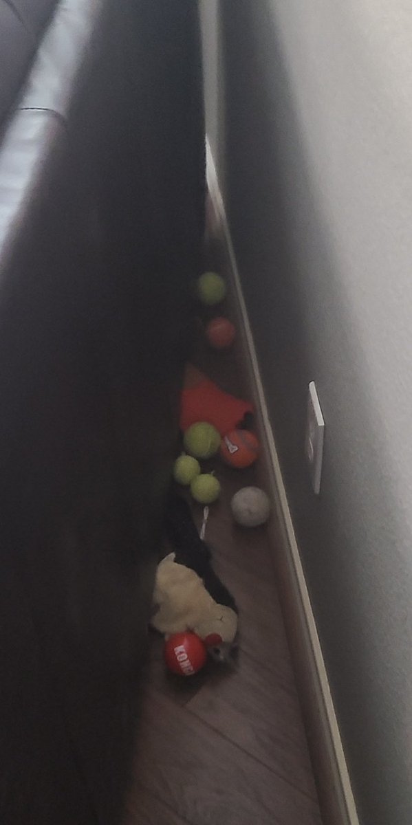 BaileyTherapy1's tweet photo. When my parents move the couch, it’s like Christmas all over again https://t.co/0XdGV2qIav