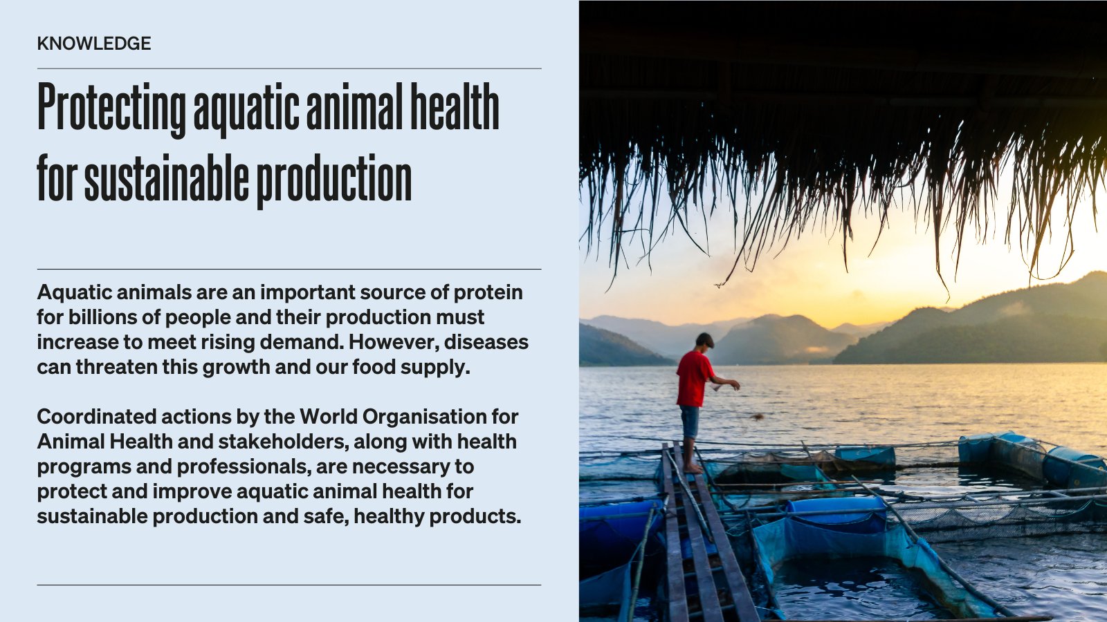 World Organisation for Animal Health - Middle East (@WOAH_MiddleEast) /  Twitter