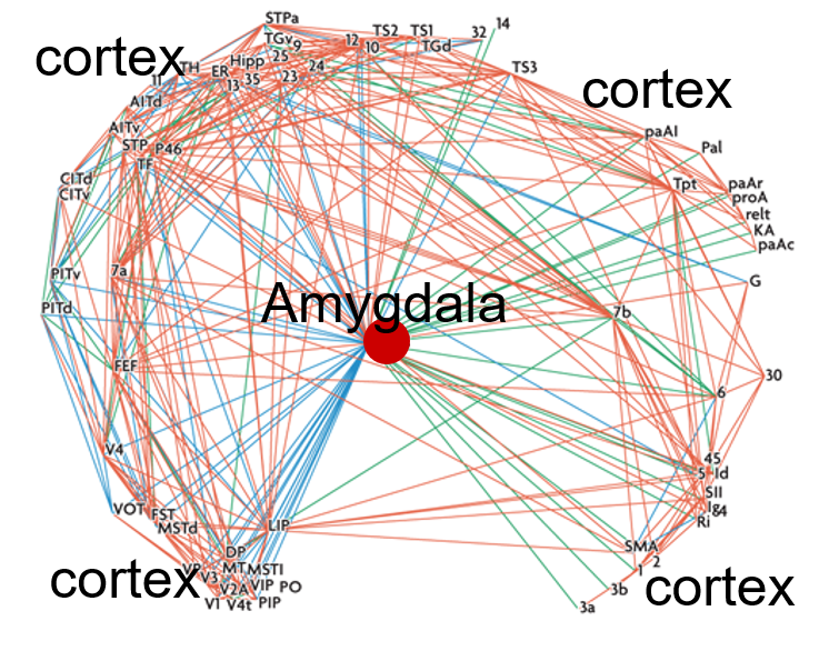 Luiz Pessoa tweet media