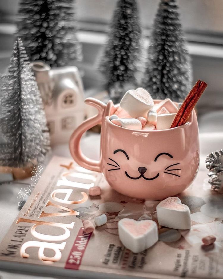 لا تقبل بأقل مما تستحق
           فأغلب أوجاعگ تبدأ عندما تتنازل.🤎 

#ورد